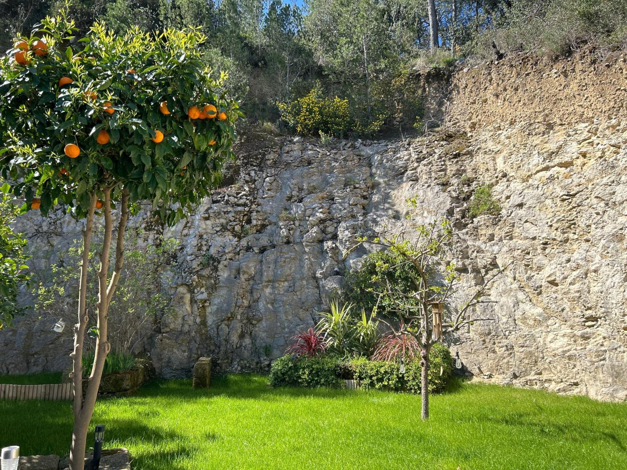 Loft Sauna Balneotherapie Beaucaire (Gard) Exterior foto